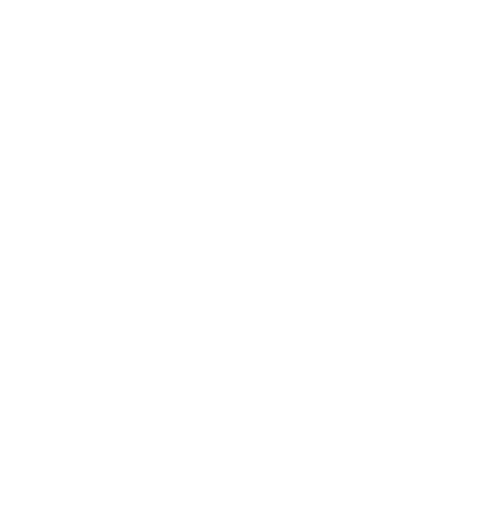 mageia x endrix logo blanc en